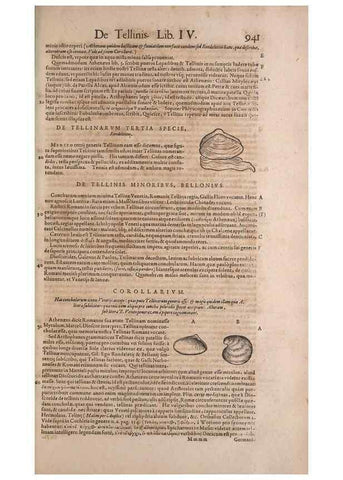 Reproducción/Reproduction 15545665746: Conradi Gesneri medici Tigurini Historiae animalium liber IV :. Francofurti :In Bibliopolio Andreae Cambieri,anno MDCIIII [1604]