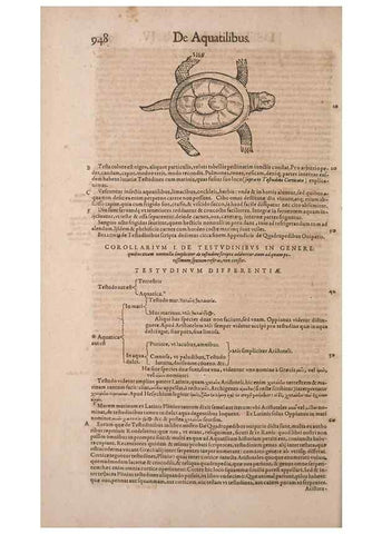 Reproducción/Reproduction 15383740400: Conradi Gesneri medici Tigurini Historiae animalium liber IV :. Francofurti :In Bibliopolio Andreae Cambieri,anno MDCIIII [1604]