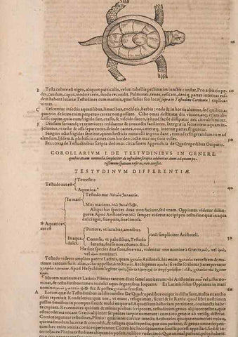 Reproducción/Reproduction 15383740400: Conradi Gesneri medici Tigurini Historiae animalium liber IV :. Francofurti :In Bibliopolio Andreae Cambieri,anno MDCIIII [1604]
