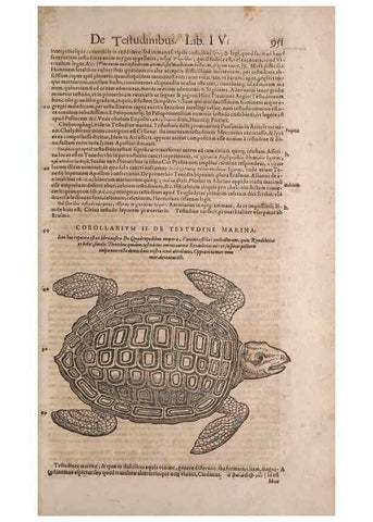 Reproducción/Reproduction 15383222528: Conradi Gesneri medici Tigurini Historiae animalium liber IV :. Francofurti :In Bibliopolio Andreae Cambieri,anno MDCIIII [1604]