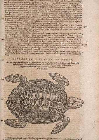 Reproducción/Reproduction 15383222528: Conradi Gesneri medici Tigurini Historiae animalium liber IV :. Francofurti :In Bibliopolio Andreae Cambieri,anno MDCIIII [1604]