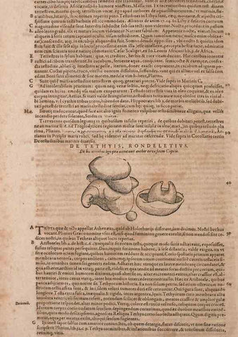 Reproducción/Reproduction 15383224198: Conradi Gesneri medici Tigurini Historiae animalium liber IV :. Francofurti :In Bibliopolio Andreae Cambieri,anno MDCIIII [1604]