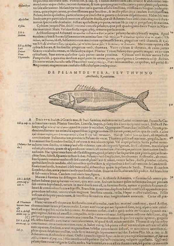 Reproducción/Reproduction 14948632994: Conradi Gesneri medici Tigurini Historiae animalium liber IV :. Francofurti :In Bibliopolio Andreae Cambieri,anno MDCIIII [1604]
