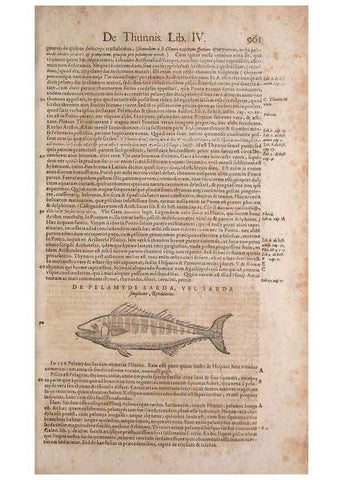 Reproducción/Reproduction 14949207023: Conradi Gesneri medici Tigurini Historiae animalium liber IV :. Francofurti :In Bibliopolio Andreae Cambieri,anno MDCIIII [1604]
