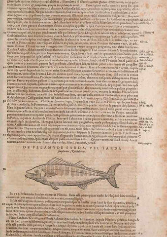 Reproducción/Reproduction 14949207023: Conradi Gesneri medici Tigurini Historiae animalium liber IV :. Francofurti :In Bibliopolio Andreae Cambieri,anno MDCIIII [1604]