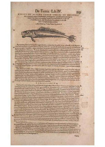 Reproducción/Reproduction 15383730640: Conradi Gesneri medici Tigurini Historiae animalium liber IV :. Francofurti :In Bibliopolio Andreae Cambieri,anno MDCIIII [1604]