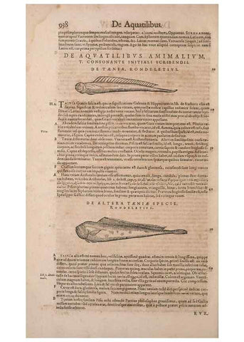 Reproducción/Reproduction 15383208878: Conradi Gesneri medici Tigurini Historiae animalium liber IV :. Francofurti :In Bibliopolio Andreae Cambieri,anno MDCIIII [1604]