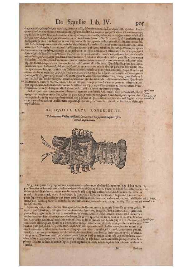Reproducción/Reproduction 14949151243: Conradi Gesneri medici Tigurini Historiae animalium liber IV :. Francofurti :In Bibliopolio Andreae Cambieri,anno MDCIIII [1604]