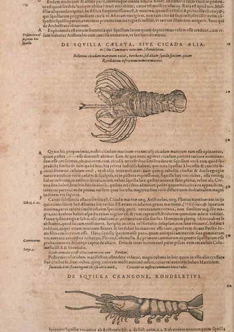 Reproducción/Reproduction 15383175558: Conradi Gesneri medici Tigurini Historiae animalium liber IV :. Francofurti :In Bibliopolio Andreae Cambieri,anno MDCIIII [1604]