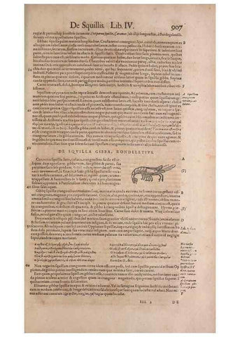 Reproducción/Reproduction 14948581414: Conradi Gesneri medici Tigurini Historiae animalium liber IV :. Francofurti :In Bibliopolio Andreae Cambieri,anno MDCIIII [1604]