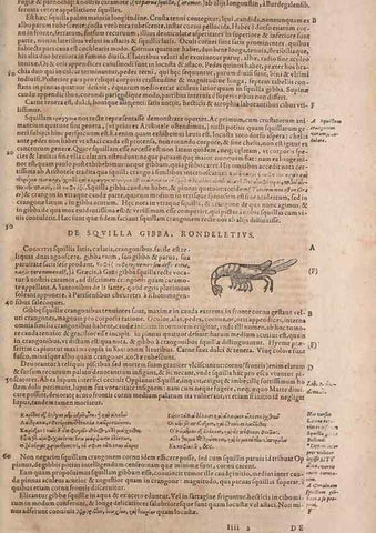 Reproducción/Reproduction 14948581414: Conradi Gesneri medici Tigurini Historiae animalium liber IV :. Francofurti :In Bibliopolio Andreae Cambieri,anno MDCIIII [1604]