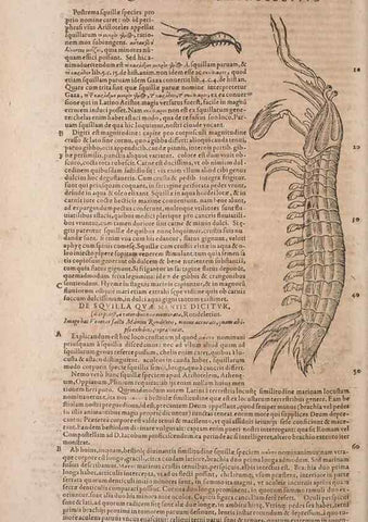 Reproducción/Reproduction 15569337105: Conradi Gesneri medici Tigurini Historiae animalium liber IV :. Francofurti :In Bibliopolio Andreae Cambieri,anno MDCIIII [1604]