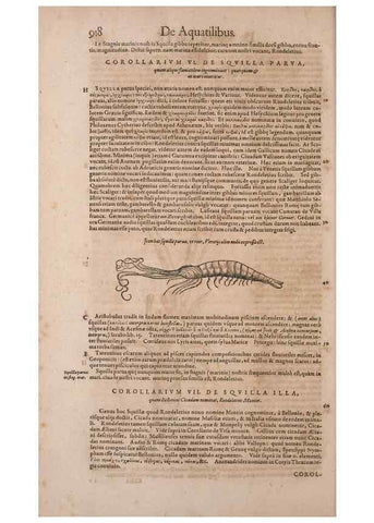 Reproducción/Reproduction 15570179322: Conradi Gesneri medici Tigurini Historiae animalium liber IV :. Francofurti :In Bibliopolio Andreae Cambieri,anno MDCIIII [1604]