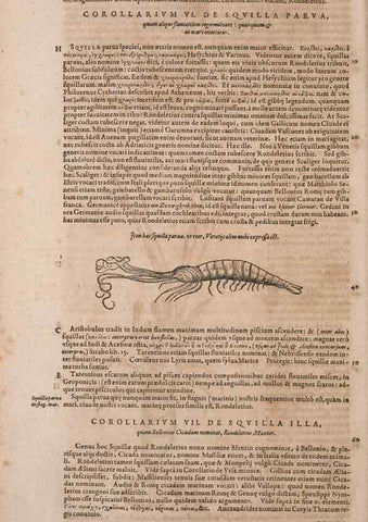 Reproducción/Reproduction 15570179322: Conradi Gesneri medici Tigurini Historiae animalium liber IV :. Francofurti :In Bibliopolio Andreae Cambieri,anno MDCIIII [1604]