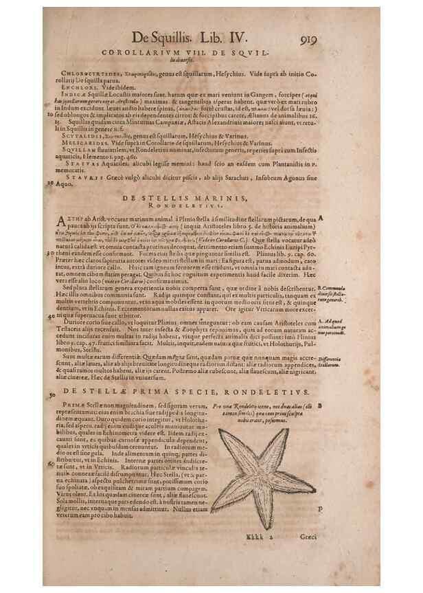 Reproducción/Reproduction 14949164573: Conradi Gesneri medici Tigurini Historiae animalium liber IV :. Francofurti :In Bibliopolio Andreae Cambieri,anno MDCIIII [1604]
