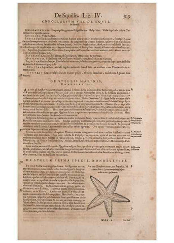 Reproducción/Reproduction 14949164573: Conradi Gesneri medici Tigurini Historiae animalium liber IV :. Francofurti :In Bibliopolio Andreae Cambieri,anno MDCIIII [1604]