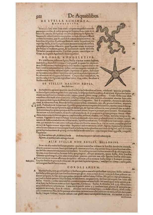 Reproducción/Reproduction 15383337927: Conradi Gesneri medici Tigurini Historiae animalium liber IV :. Francofurti :In Bibliopolio Andreae Cambieri,anno MDCIIII [1604]