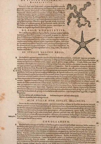 Reproducción/Reproduction 15383337927: Conradi Gesneri medici Tigurini Historiae animalium liber IV :. Francofurti :In Bibliopolio Andreae Cambieri,anno MDCIIII [1604]