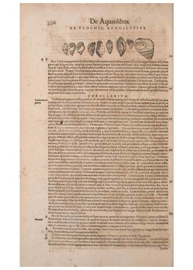 Reproducción/Reproduction 15383347227: Conradi Gesneri medici Tigurini Historiae animalium liber IV :. Francofurti :In Bibliopolio Andreae Cambieri,anno MDCIIII [1604]
