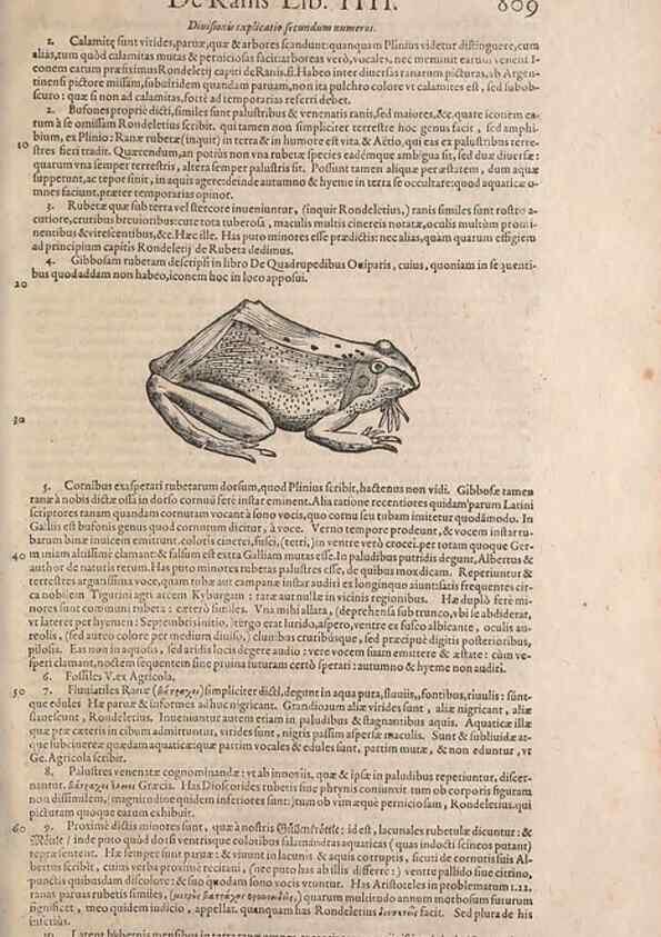 Reproducción/Reproduction 15570076502: Conradi Gesneri medici Tigurini Historiae animalium liber IV :. Francofurti :In Bibliopolio Andreae Cambieri,anno MDCIIII [1604]