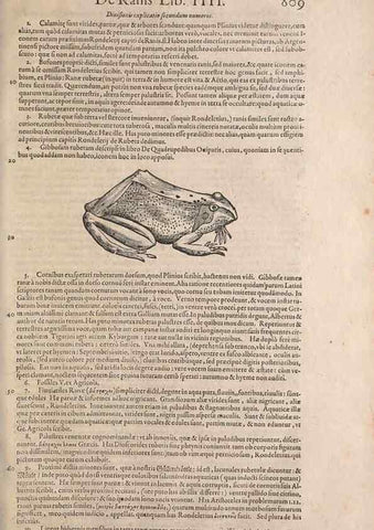 Reproducción/Reproduction 15570076502: Conradi Gesneri medici Tigurini Historiae animalium liber IV :. Francofurti :In Bibliopolio Andreae Cambieri,anno MDCIIII [1604]