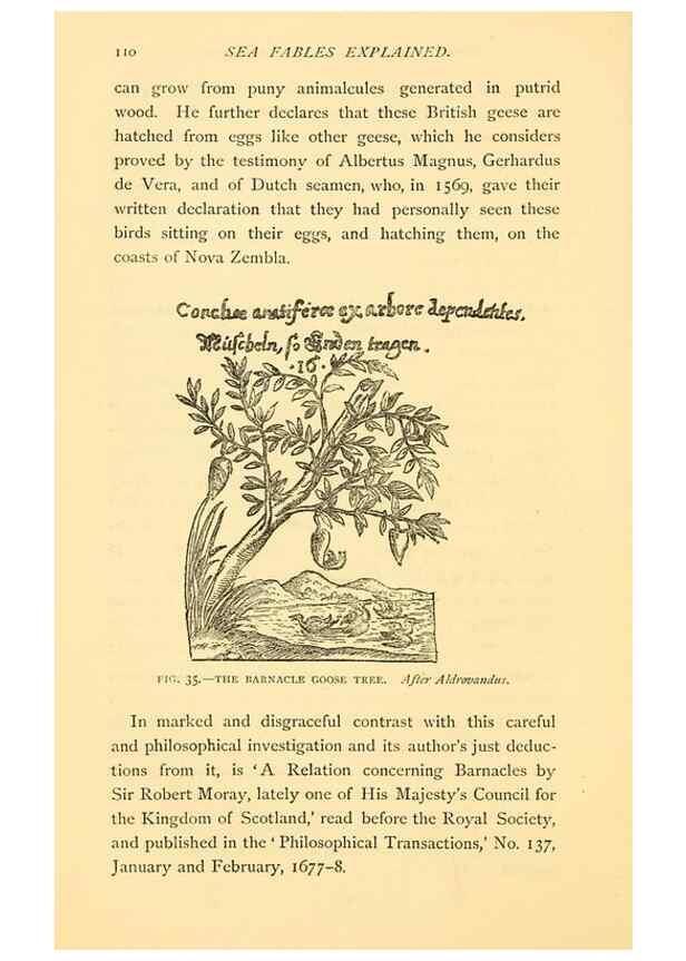 Reproducción/Reproduction 15401591637: Sea fables explained /. London :W. Clowes and sons, ltd.,1883.