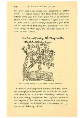 Reproducción/Reproduction 15401591637: Sea fables explained /. London :W. Clowes and sons, ltd.,1883.