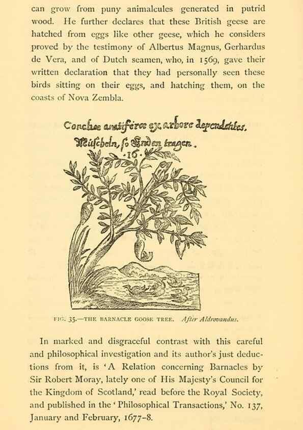 Reproducción/Reproduction 15401591637: Sea fables explained /. London :W. Clowes and sons, ltd.,1883.