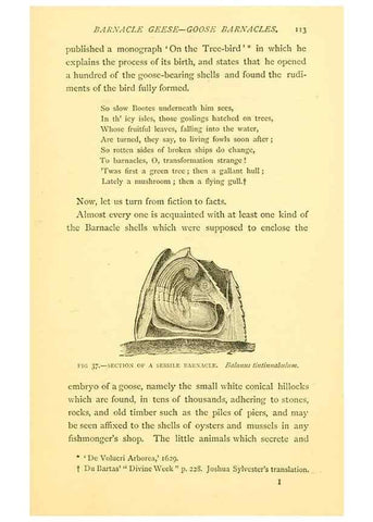 Reproducción/Reproduction 15400977429: Sea fables explained /. London :W. Clowes and sons, ltd.,1883.