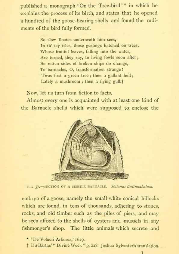 Reproducción/Reproduction 15400977429: Sea fables explained /. London :W. Clowes and sons, ltd.,1883.