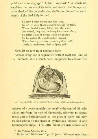 Reproducción/Reproduction 15400977429: Sea fables explained /. London :W. Clowes and sons, ltd.,1883.