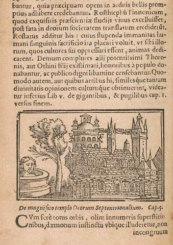 Reproducción/Reproduction 15449232178: Historiae de gentibus septentrionalibus /. Antverpiae :Apud Ioannem Bellerum,[ca. 1557]