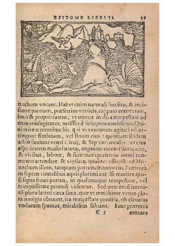 Reproducción/Reproduction 15015096963: Historiae de gentibus septentrionalibus /. Antverpiae :Apud Ioannem Bellerum,[ca. 1557]