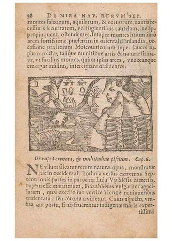 Reproducción/Reproduction 15632596941: Historiae de gentibus septentrionalibus /. Antverpiae :Apud Ioannem Bellerum,[ca. 1557]