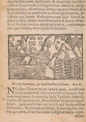 Reproducción/Reproduction 15632596941: Historiae de gentibus septentrionalibus /. Antverpiae :Apud Ioannem Bellerum,[ca. 1557]