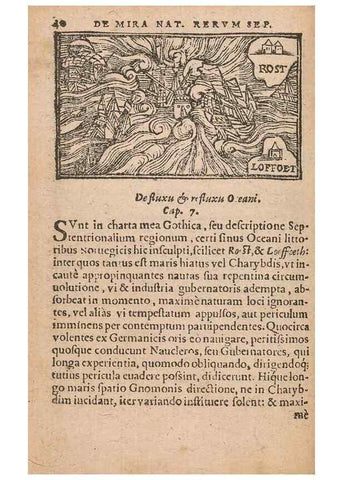 Reproducción/Reproduction 15632599621: Historiae de gentibus septentrionalibus /. Antverpiae :Apud Ioannem Bellerum,[ca. 1557]