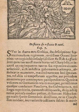 Reproducción/Reproduction 15632599621: Historiae de gentibus septentrionalibus /. Antverpiae :Apud Ioannem Bellerum,[ca. 1557]