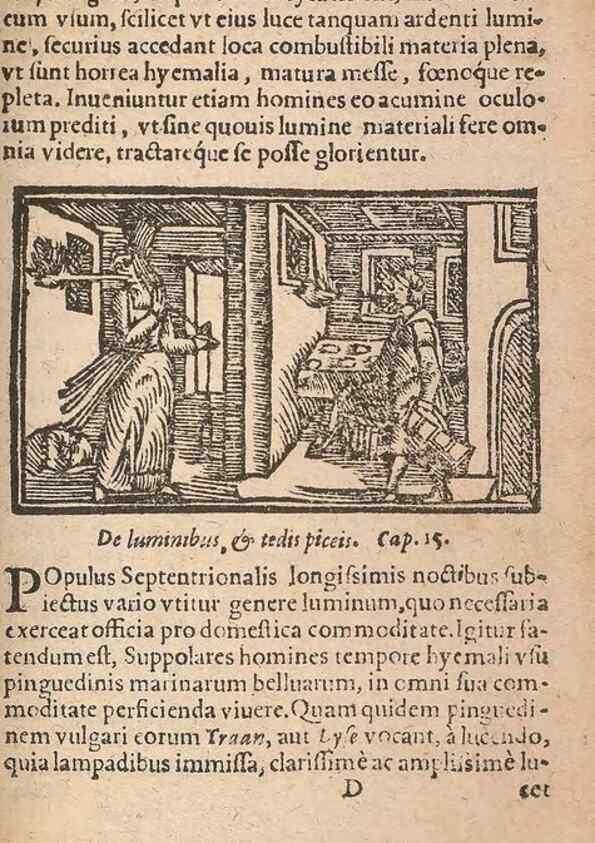 Reproducción/Reproduction 15611581316: Historiae de gentibus septentrionalibus /. Antverpiae :Apud Ioannem Bellerum,[ca. 1557]