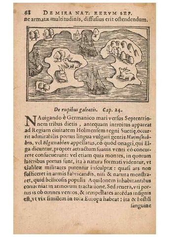 Reproducción/Reproduction 15448683299: Historiae de gentibus septentrionalibus /. Antverpiae :Apud Ioannem Bellerum,[ca. 1557]