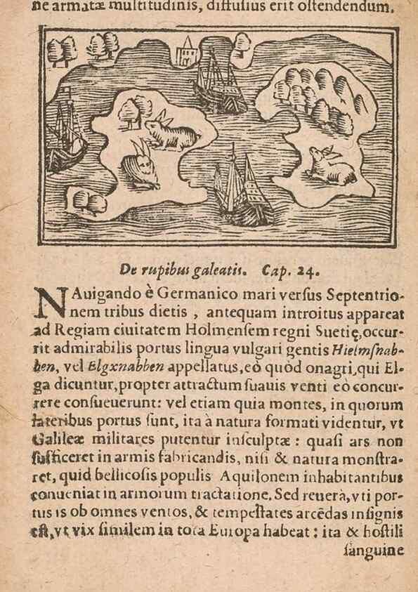Reproducción/Reproduction 15448683299: Historiae de gentibus septentrionalibus /. Antverpiae :Apud Ioannem Bellerum,[ca. 1557]