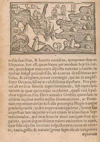 Reproducción/Reproduction 15015155013: Historiae de gentibus septentrionalibus /. Antverpiae :Apud Ioannem Bellerum,[ca. 1557]