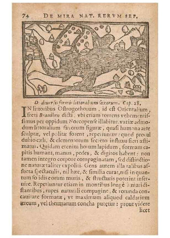 Reproducción/Reproduction 15632670351: Historiae de gentibus septentrionalibus /. Antverpiae :Apud Ioannem Bellerum,[ca. 1557]