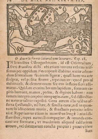 Reproducción/Reproduction 15632670351: Historiae de gentibus septentrionalibus /. Antverpiae :Apud Ioannem Bellerum,[ca. 1557]