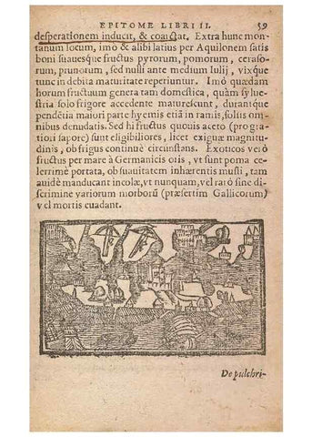 Reproducción/Reproduction 15449329957: Historiae de gentibus septentrionalibus /. Antverpiae :Apud Ioannem Bellerum,[ca. 1557]