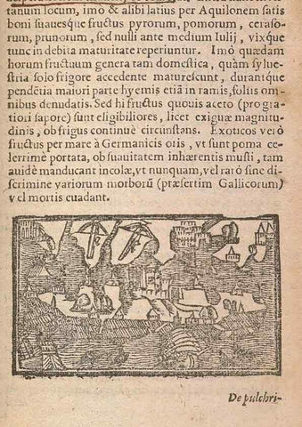 Reproducción/Reproduction 15449329957: Historiae de gentibus septentrionalibus /. Antverpiae :Apud Ioannem Bellerum,[ca. 1557]