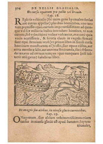 Reproducción/Reproduction 15450027110: Historiae de gentibus septentrionalibus /. Antverpiae :Apud Ioannem Bellerum,[ca. 1557]