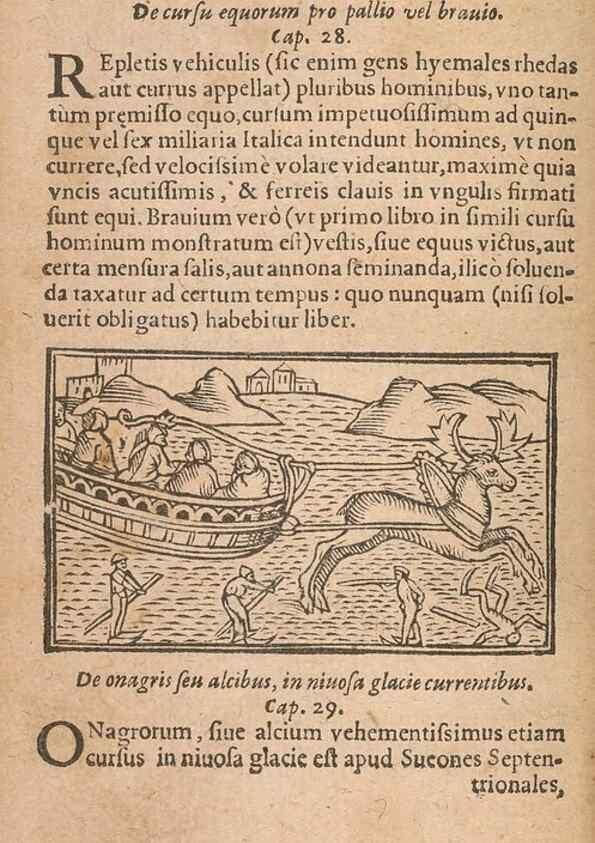 Reproducción/Reproduction 15450027110: Historiae de gentibus septentrionalibus /. Antverpiae :Apud Ioannem Bellerum,[ca. 1557]