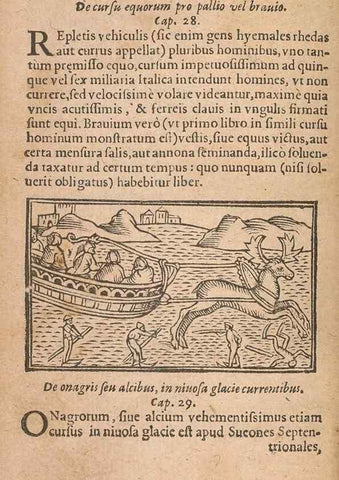 Reproducción/Reproduction 15450027110: Historiae de gentibus septentrionalibus /. Antverpiae :Apud Ioannem Bellerum,[ca. 1557]