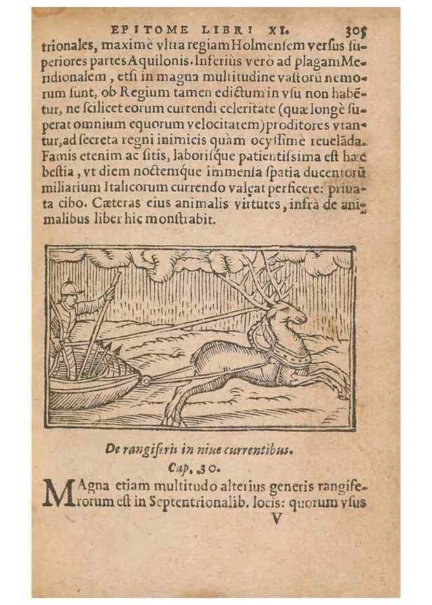 Reproducción/Reproduction 15014866104: Historiae de gentibus septentrionalibus /. Antverpiae :Apud Ioannem Bellerum,[ca. 1557]