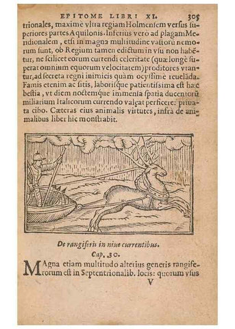 Reproducción/Reproduction 15014866104: Historiae de gentibus septentrionalibus /. Antverpiae :Apud Ioannem Bellerum,[ca. 1557]